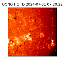 gong - 2024-07-31T07:20:22