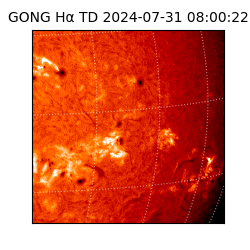 gong - 2024-07-31T08:00:22