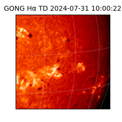 gong - 2024-07-31T10:00:22