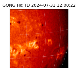 gong - 2024-07-31T12:00:22