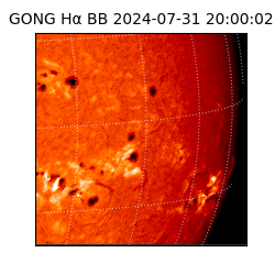 gong - 2024-07-31T20:00:02