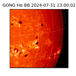 gong - 2024-07-31T23:00:02