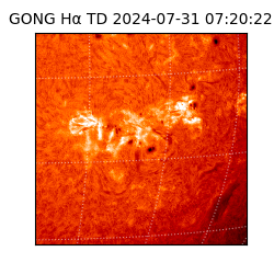 gong - 2024-07-31T07:20:22