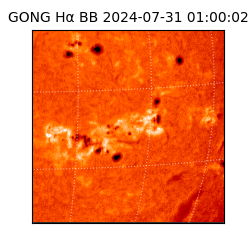 gong - 2024-07-31T01:00:02