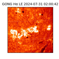 gong - 2024-07-31T02:00:42