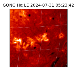 gong - 2024-07-31T05:23:42