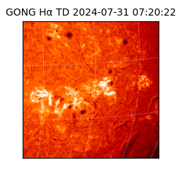 gong - 2024-07-31T07:20:22