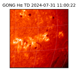 gong - 2024-07-31T11:00:22