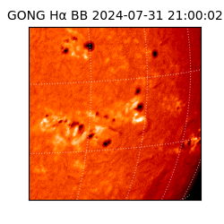 gong - 2024-07-31T21:00:02