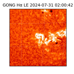 gong - 2024-07-31T02:00:42