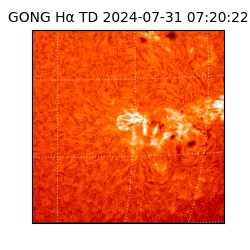 gong - 2024-07-31T07:20:22