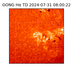 gong - 2024-07-31T08:00:22