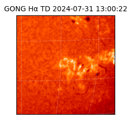 gong - 2024-07-31T13:00:22