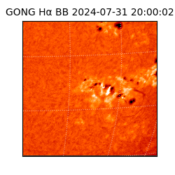 gong - 2024-07-31T20:00:02