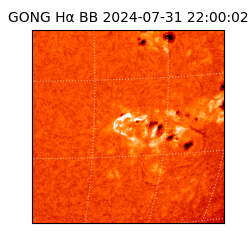 gong - 2024-07-31T22:00:02