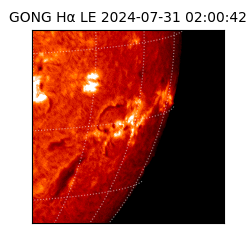 gong - 2024-07-31T02:00:42