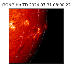 gong - 2024-07-31T08:00:22