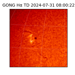 gong - 2024-07-31T08:00:22