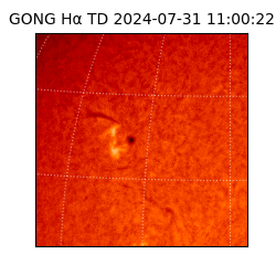 gong - 2024-07-31T11:00:22