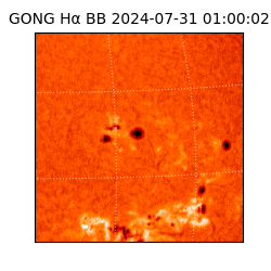 gong - 2024-07-31T01:00:02