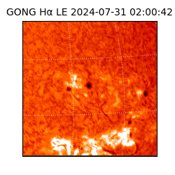 gong - 2024-07-31T02:00:42