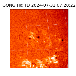gong - 2024-07-31T07:20:22
