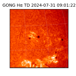 gong - 2024-07-31T09:01:22