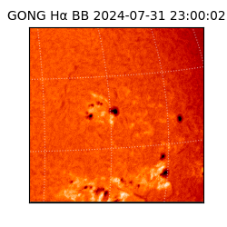 gong - 2024-07-31T23:00:02