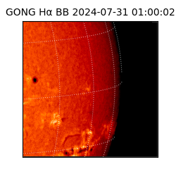 gong - 2024-07-31T01:00:02