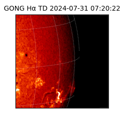 gong - 2024-07-31T07:20:22