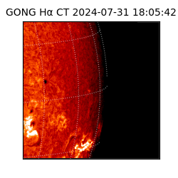 gong - 2024-07-31T18:05:42