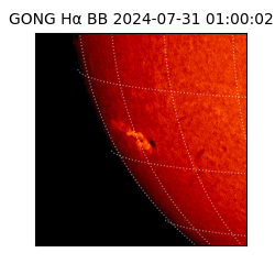 gong - 2024-07-31T01:00:02