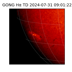 gong - 2024-07-31T09:01:22