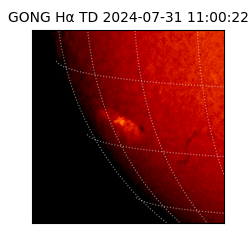 gong - 2024-07-31T11:00:22