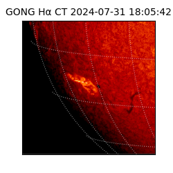 gong - 2024-07-31T18:05:42