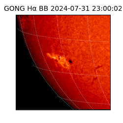 gong - 2024-07-31T23:00:02