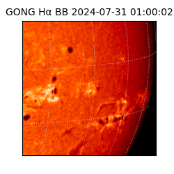 gong - 2024-07-31T01:00:02