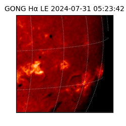 gong - 2024-07-31T05:23:42