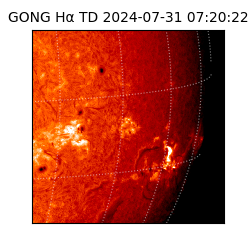 gong - 2024-07-31T07:20:22