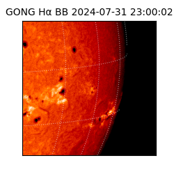 gong - 2024-07-31T23:00:02