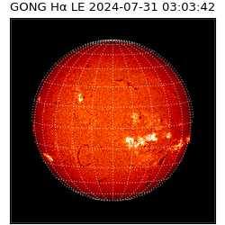 gong - 2024-07-31T03:03:42