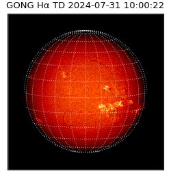 gong - 2024-07-31T10:00:22