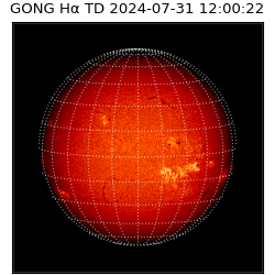 gong - 2024-07-31T12:00:22