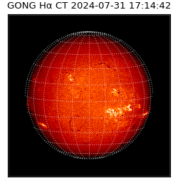 gong - 2024-07-31T17:14:42