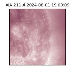 saia - 2024-08-01T19:00:09.630000