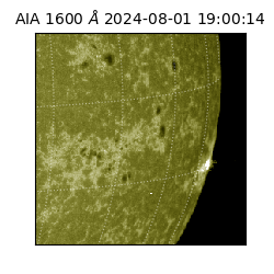 saia - 2024-08-01T19:00:14.126000