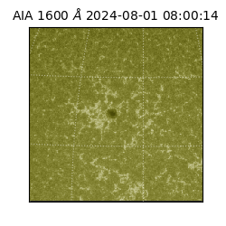 saia - 2024-08-01T08:00:14.125000