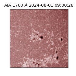 saia - 2024-08-01T09:00:28.720000