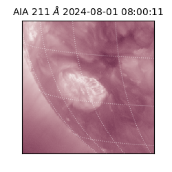 saia - 2024-08-01T08:00:11.940000