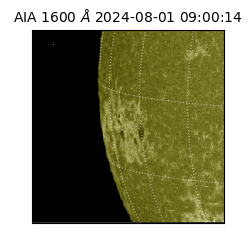 saia - 2024-08-01T09:00:14.126000